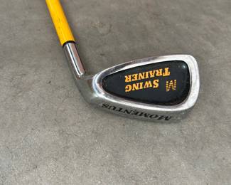 Momentous swing trainer