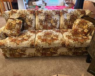sleeper sofa
