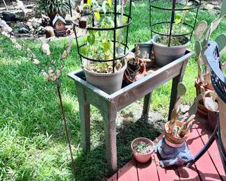 Huge selection of Plants and Planters