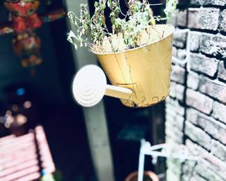 Tin Hanging Pot