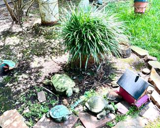 Large Planter w/plant