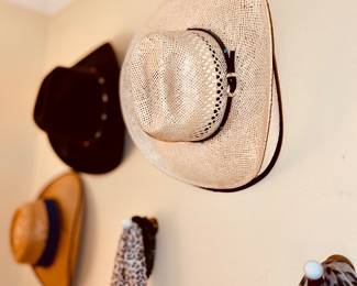 Men's hats/men's cowboy hats