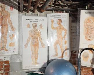 Anatomy of Acupuncture laminated posters