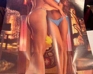 Playboy twins poster