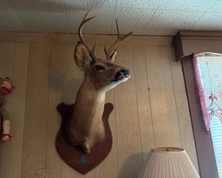 DEER MOUNT