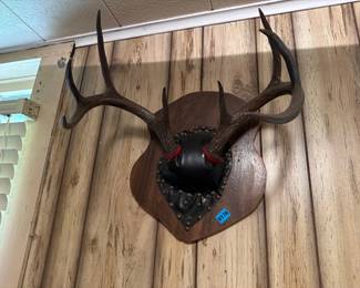 MOUNTED DEER ANTLERS
