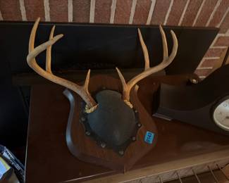 MOUNTED DEER ANTLERS