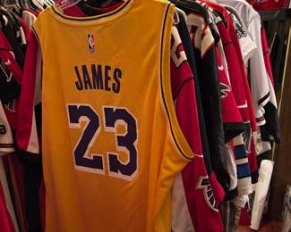 Labron James Jersey