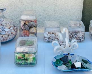 Misc. Sea Shells