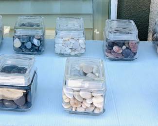 Misc. Seashells