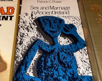 Sex And Marriage In Ancient Ireland Paperback Book