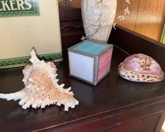 Seashells