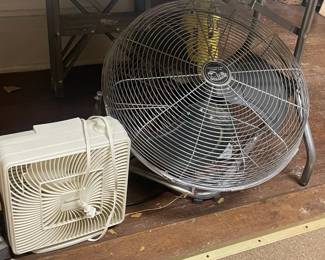 Fans