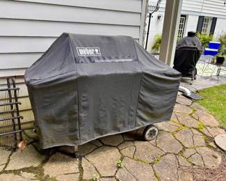 Gas Weber grill