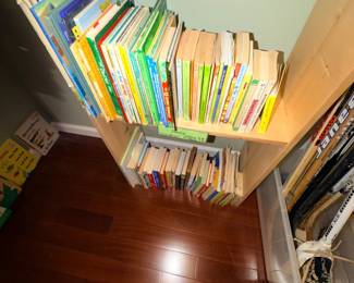 Items Located in The Lower Level 2nd Bedroom ~ Christmas & Holiday ~ Toys ~ Sorts Collectibles
