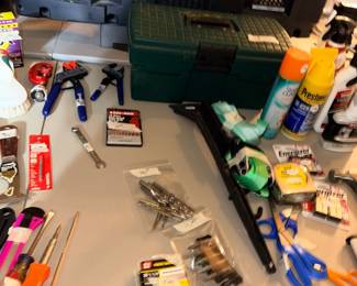 Items Located in The Garage