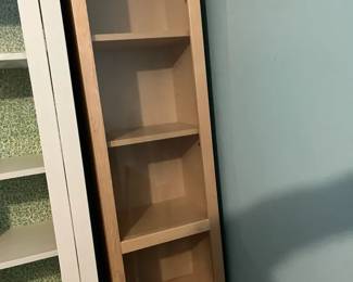 Light Wood Colored Narrow Glass Book Shelf One