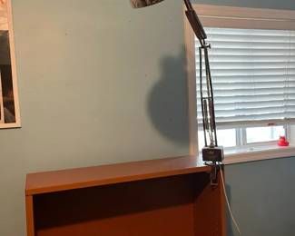 Wooden Bookcase And Super Office Light