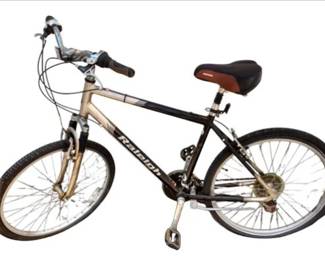 Raleigh SC30 Bicycle