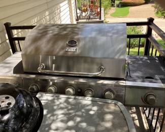 Propane grill