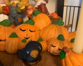 cutest little pumpkins
