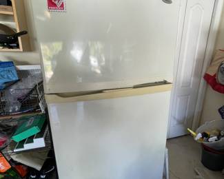Garage fridge
