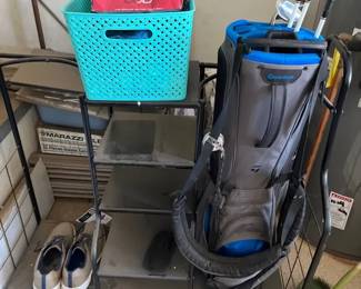 Adams Woods, Kirkland Irons, Taylor Golf Bag, Garage Caddy And More