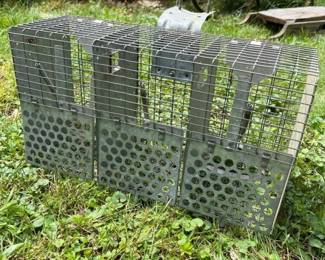 540 dualdoorhumaneliveanimaltrap