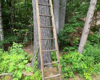 548 vintage8ftwoodenorchardladder