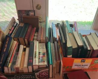 291 largemixedbooklottravelliteratureg