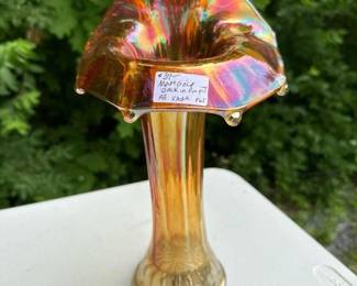 426 marigoldiridescentjackinthepulpita