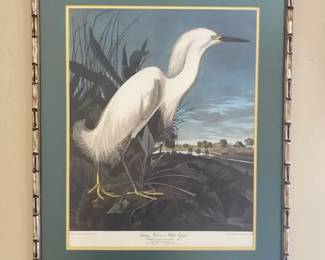 J. J. Audubon Snowy Heron or White Egret Framed Print 26 x 31, Bamboo Style Frame