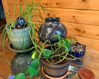 Potted plants with glazed pottery planters