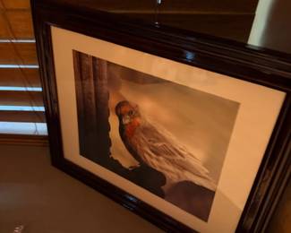 Framed owl print, dark wood frame
