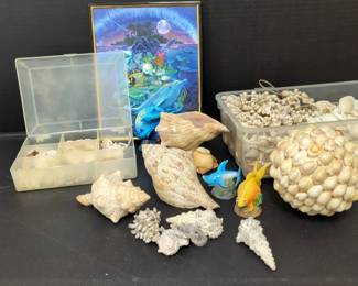 Seashells and Ocean Decor