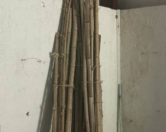 Bundle of Bamboo Poles - A bundle of natural bamboo poles, ideal for gardening or crafting projects.