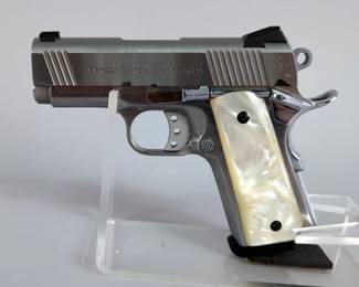 S.A.M Inc/ American Tactical Titan Stainless .45 ACP Pistol SN# TS100665, 2 Total Mags, In Soft Case 