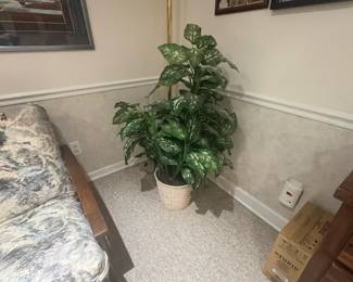 . . . faux plant