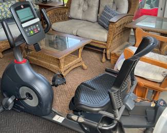 Schwinn 230 Recumbent fitness bike