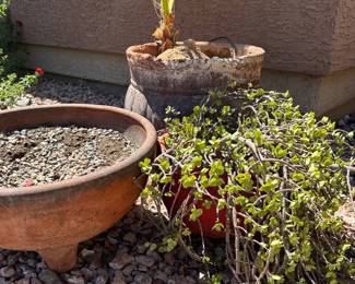 3 Garden PotsPlants