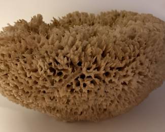 Vintage sponge