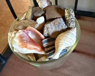 Shells