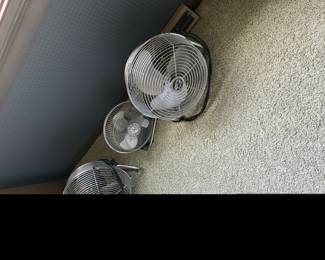 fans
