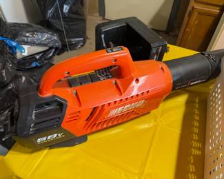 echo blower with charger