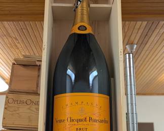Empty Champagne bottle in unique crate