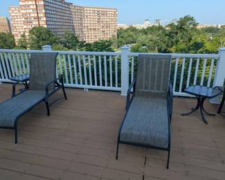 Two Chaise Lounge Chairs