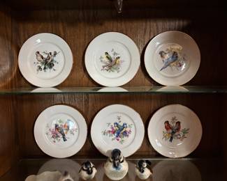Royal Doulton bird plates 