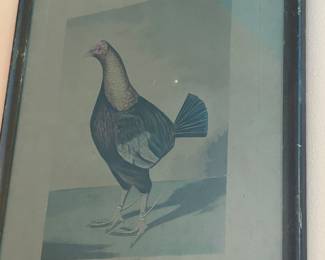The other print of the pair