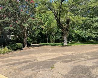 Breath-Taking Circle Drive in Front of the House