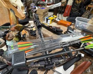 Compound bow and arrows